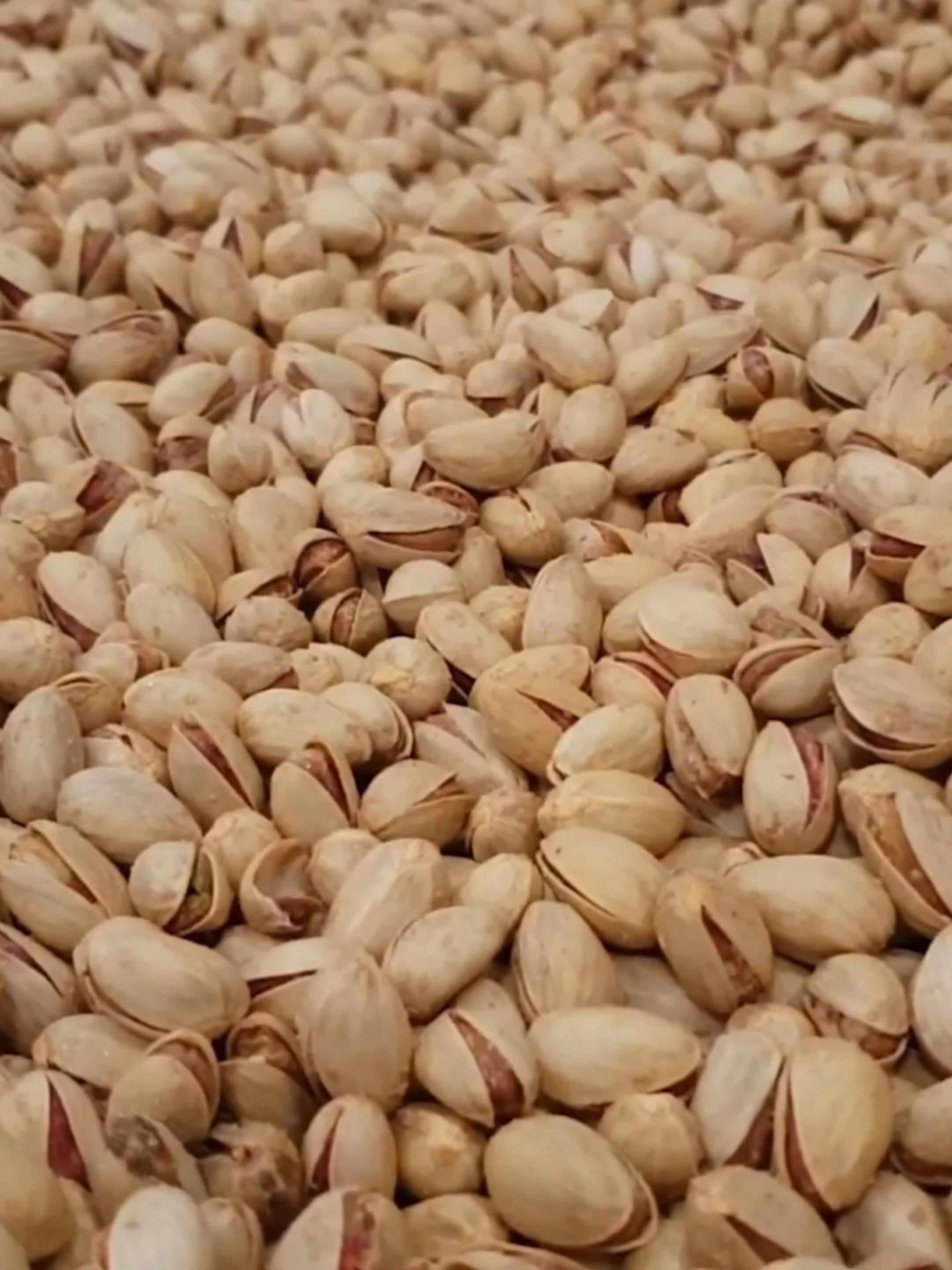 производство ФИСТАШЕК #орехи #фисташки #pistachio смотреть онлайн