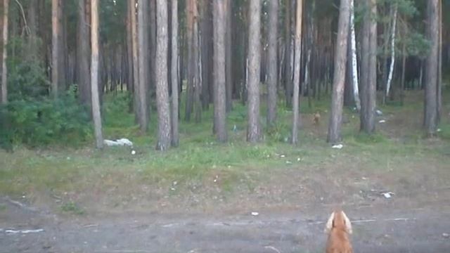 Трое на Обском смотреть онлайн