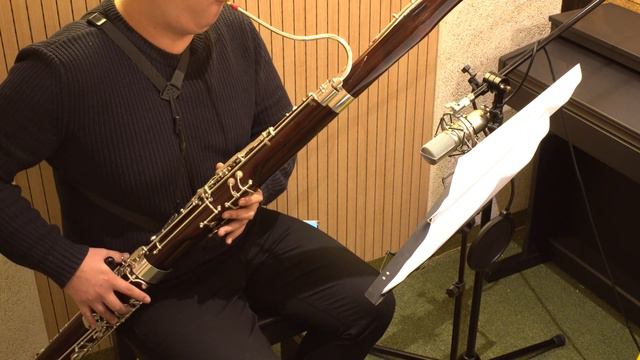 [ONLINE ORCHESTRA] Mozart symphony no.40 1st movement by BASSOON смотреть онлайн