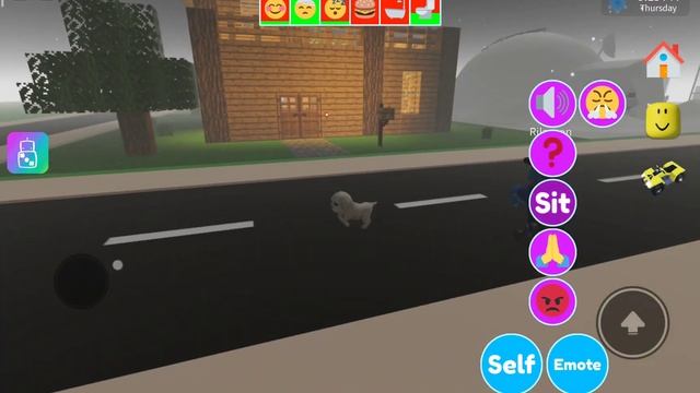 Roblox Pet Party. смотреть онлайн