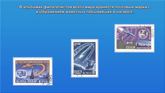 Презентация животные в космосе. Презентация ко дню космонавтики смотреть онлайн