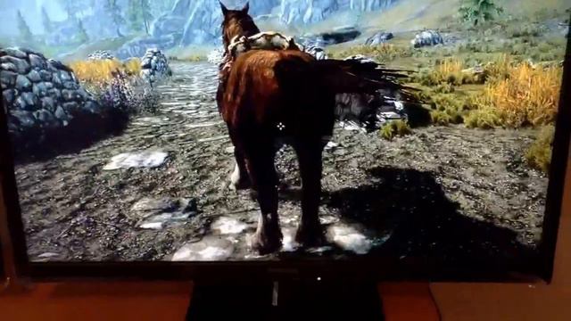 Skyrim Frozen Horse Glitch смотреть онлайн