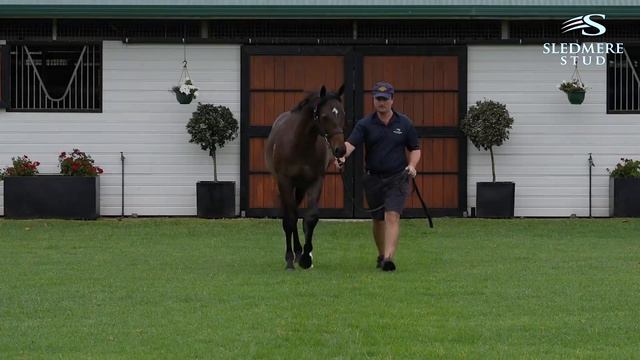 Per Incanto (USA) x Urban Royal смотреть онлайн