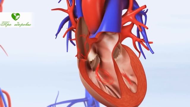 Вот почему врачи рекомендуют есть ржаную кашу! Удивительно, как сердце, сосуды, давление... смотреть онлайн