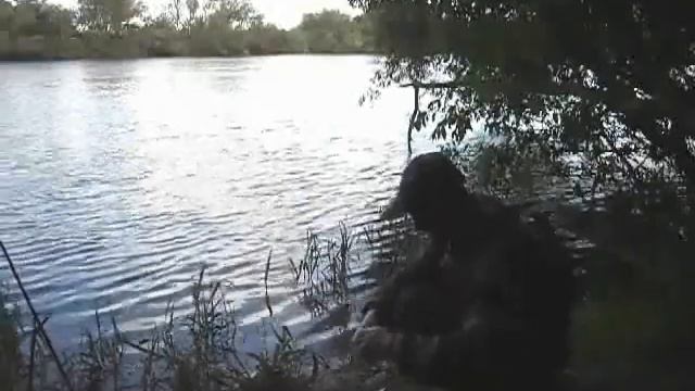 Лещ-2.wmv смотреть онлайн