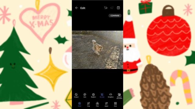HarmonyOS 3 - Gallery App Smart Features Overview смотреть онлайн