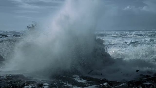 Самые Странные Существа, Выброшенные на Берег смотреть онлайн