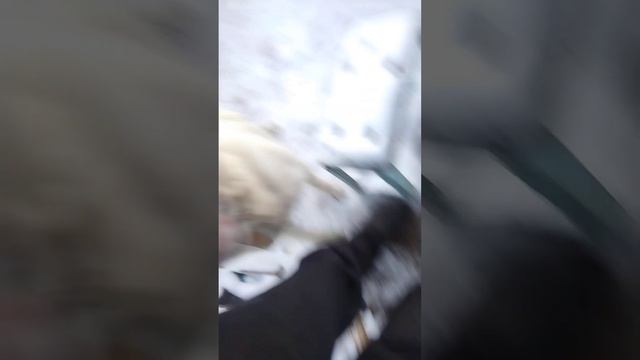 Проверяю тосол,присадку,масло,пыльник шруса при -42градусах смотреть онлайн