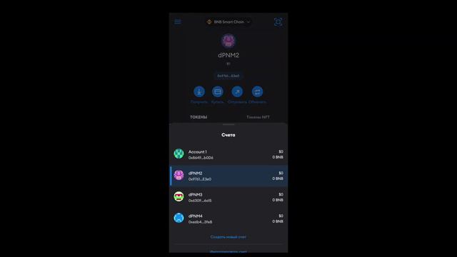 Экспорт приватного ключа в кошельке Metamask для мобильных версий Android + IOS смотреть онлайн
