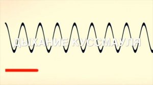 Аускультация. Типы дыхания.