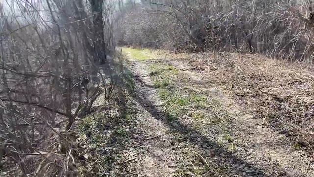 MINELAB VANQUISH 340 отлично находит мелкие монеты. Главное научиться его слушать. смотреть онлайн