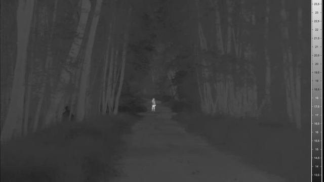 Dark Forest Pedestrian w/ VarioCAM HD thermal camera смотреть онлайн