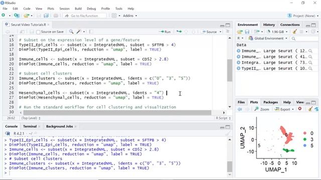 Seurat Video Tutorials--Video 12: The Subset Function смотреть онлайн