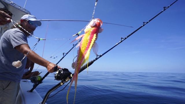 DEEP DROP Fishing CRAZY Pink&Yellow Mystery Fish! 6 Golden Tile fish & More Ocean City Maryland Fis смотреть онлайн
