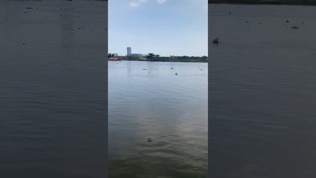 Bến Bạch Đằng, sông Sài Gòn ngày không có nắng смотреть онлайн