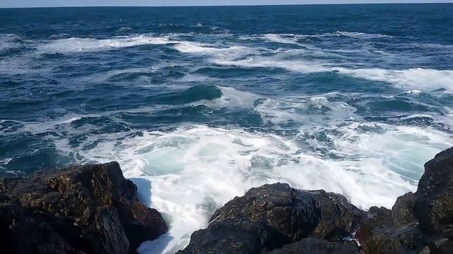 Черное Море Болгария