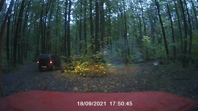 Лайтовая покатушка по лесу в Воронеже смотреть онлайн