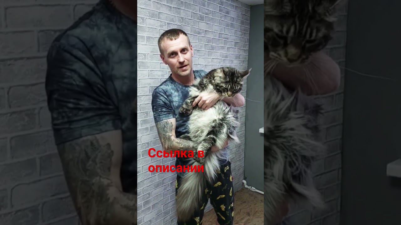 @millionaireslife22 смотреть онлайн