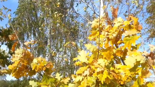 Краски времени смотреть онлайн