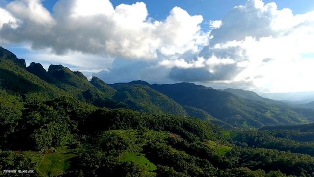 3 Hours Relaxing Music For Stress Relief #1 - Anxiety Relief, Healing Music, Sleep Music, Meditatio