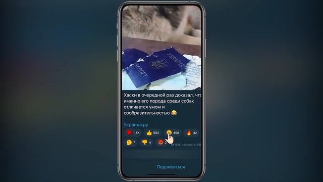 Подписывайтесь на наш телеграм-канал! смотреть онлайн