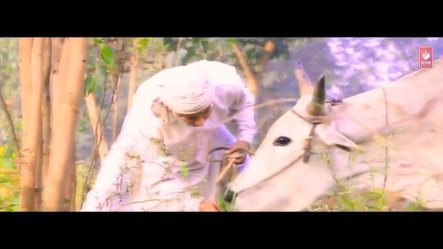 # meri do balda ki jodi haryanvi song by tr music смотреть онлайн