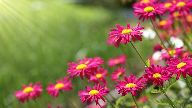 Осенний сборник Лучшие мелодии для души 2021. чудесно и красиво смотреть онлайн