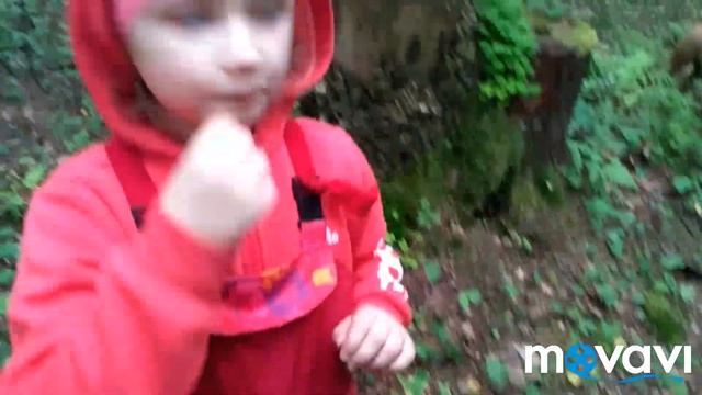 Прогулка в лес за ягодами.Нашли лягушку, муравейник и гигантский гриб! смотреть онлайн