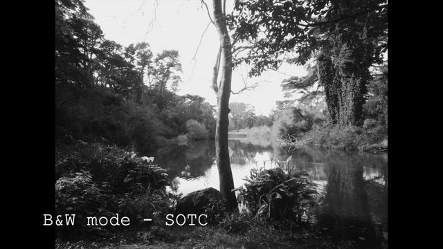 The Paper Shoot Camera смотреть онлайн