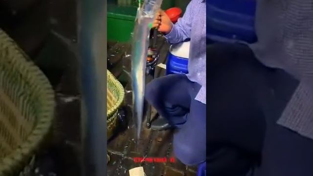 Редкая рыба меч смотреть онлайн