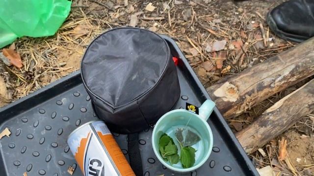 Волгодонск. В гостях у Леса. Цимлянский район, п. Сосенки. смотреть онлайн