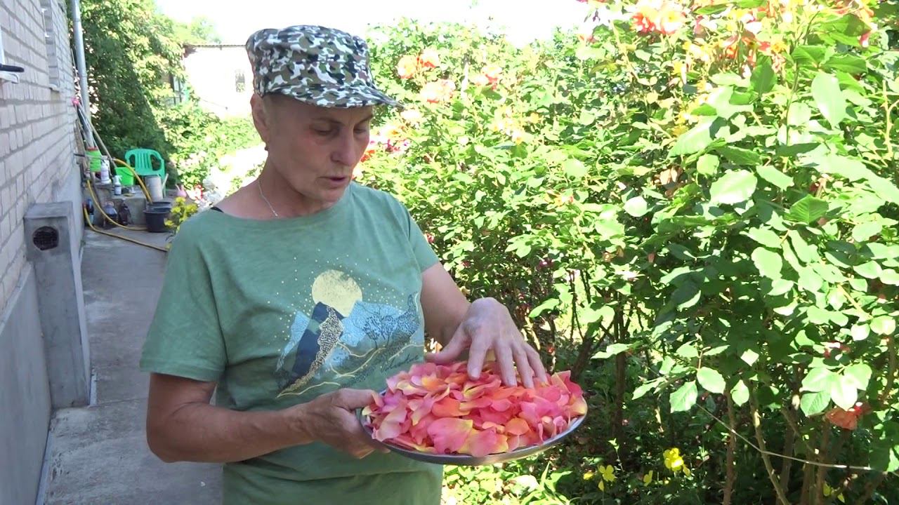 Розы. Сбор лепестков - для чего? смотреть онлайн