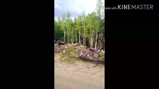 Влог. Карелия. Я упал в водопад. смотреть онлайн