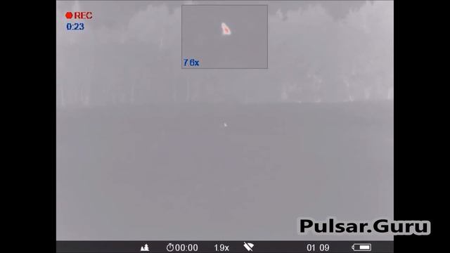 Тепловизионный монокуляр Pulsar Helion Xp38 в деле