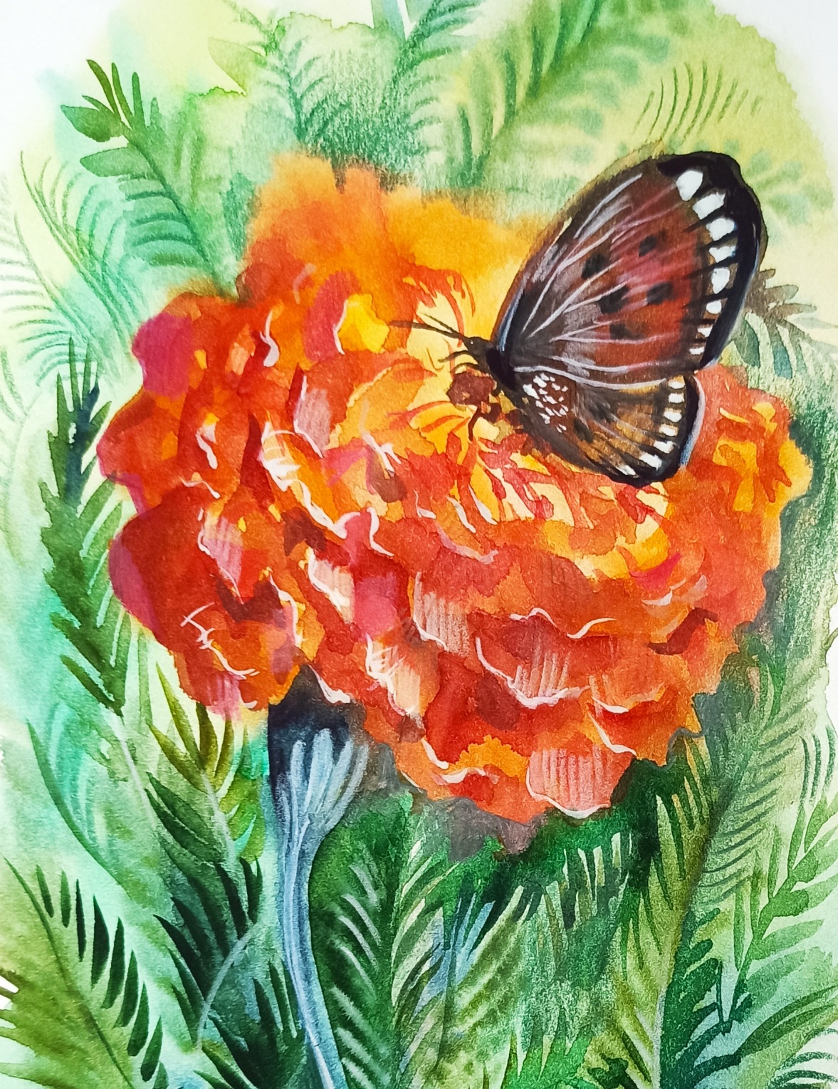 Бабочка на бархотке, как нарисовать акварельными красками. смотреть онлайн