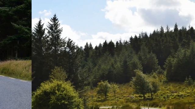 Thin Places - Wicklow Mountains