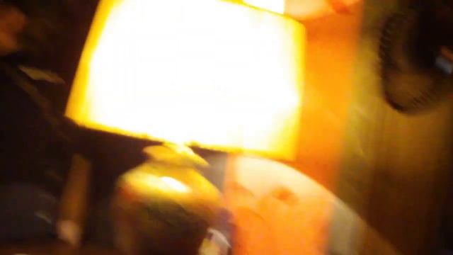 "ЗООПАРК" 17.12.2010 фрагмент 4 смотреть онлайн