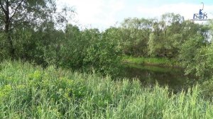 Видеоотчет с рыбалки. Река Десна, Выгоничи.