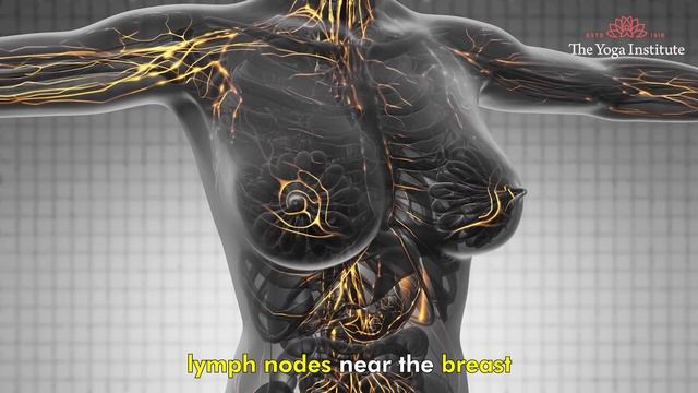 How do you Check If you have a Breast Cancer or not by your own at Home? Self-Exam Signs & Symptoms смотреть онлайн