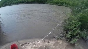 Рыбалка на реке Раздольная Суйфун. Ловля краснопёрки в приморье.