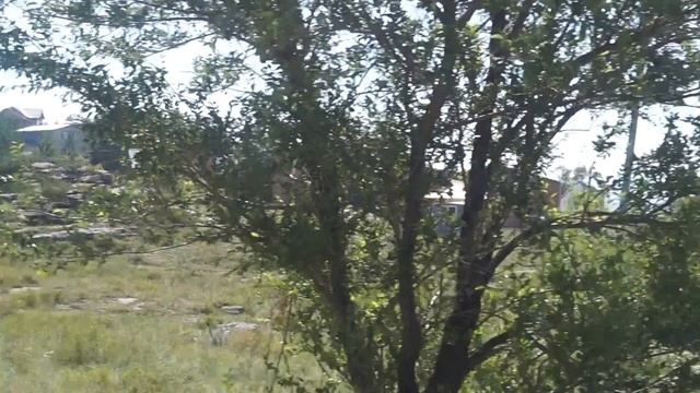 Красоты Восточного Казахстана. Новая -Бухтарма. Гора МОХНАТКА 5 часть смотреть онлайн