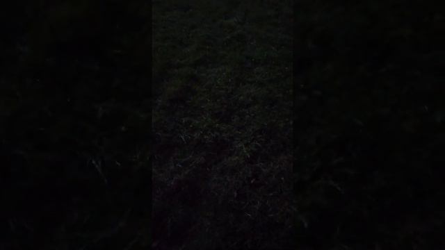 Влад Бахов боялся не только угроз, но и тех кто их писал?!🤔 смотреть онлайн