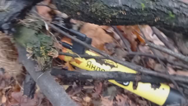 2023:11:08_08.36.43 Нашли самокат Яндекс в Измайловском парке