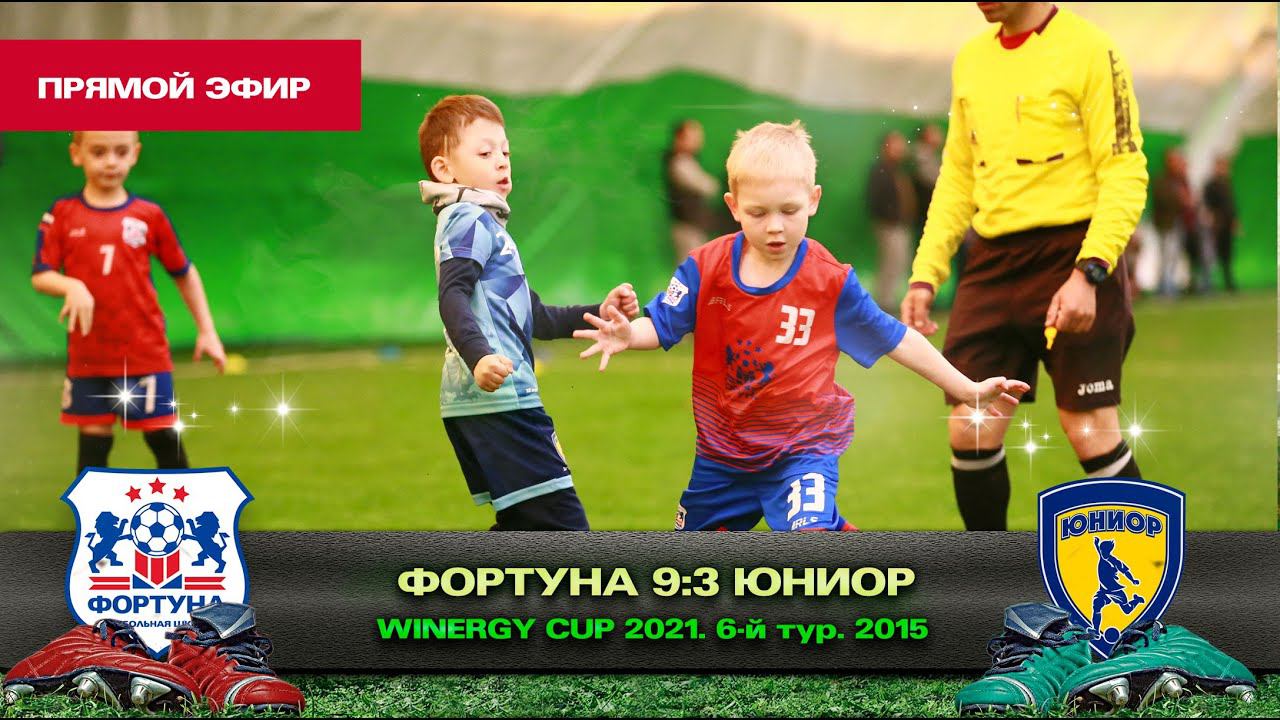 Прямой Эфир: Фортуна Домодедово - Юниор Москва. Winnergy Cup. Дивизион 2015