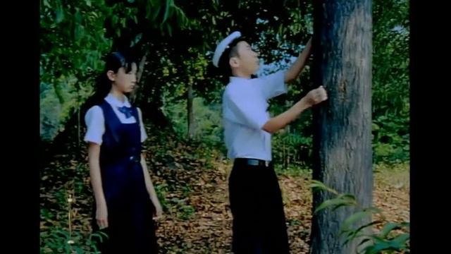 Funny Japanese Commercial A Collection of Funny Commercials from Japan смотреть онлайн