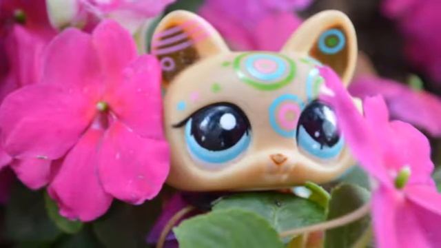 LPS : Jungle Pictures смотреть онлайн