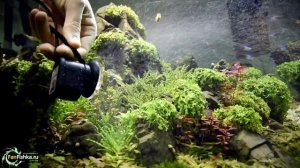 Бесшумный КОМПРЕССОР ДЛЯ АКВАРИУМА: тихий, недорогой, мощный аэратор подачи воздуха!