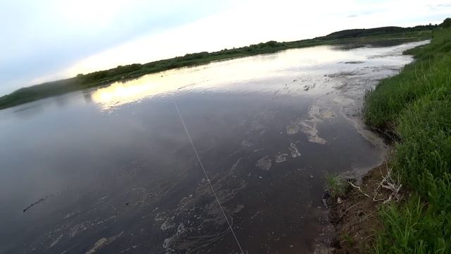 РЫБАЛКА НА РЕКЕ С БЫСТРЫМ ТЕЧЕНИЕМ.ДУБИНУ В РУКИ И В ПЕРЕД.fishing,bushcraft,nature смотреть онлайн