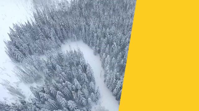 Новгородская область. Есть куда инвестировать. смотреть онлайн