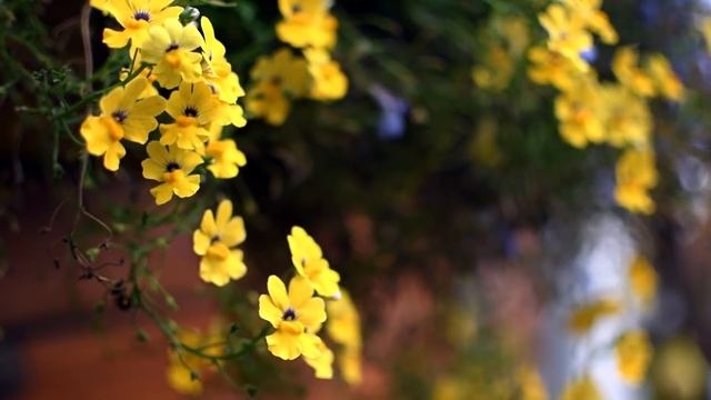 В Награду - Долголетие и Благополучие от Бога! ИСПОЛНИ 5 Заповедь! Сила Родительского благословения смотреть онлайн